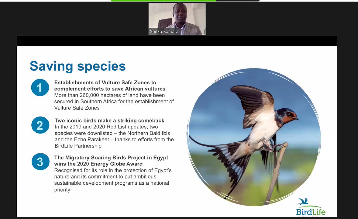 BirdLife Africa (@birdlifeafrica) on Twitter photo The Council of Africa Partnership has just started! 👏🏾
At this moment, we are celebrating the great successes the BirdLife Partnership has done all around the continent saving #bird species 🐦 The Council of Africa Partnership has just started! 👏🏾
At this moment, we are celebrating the great successes the BirdLife Partnership has done all around the continent saving #bird species 🐦