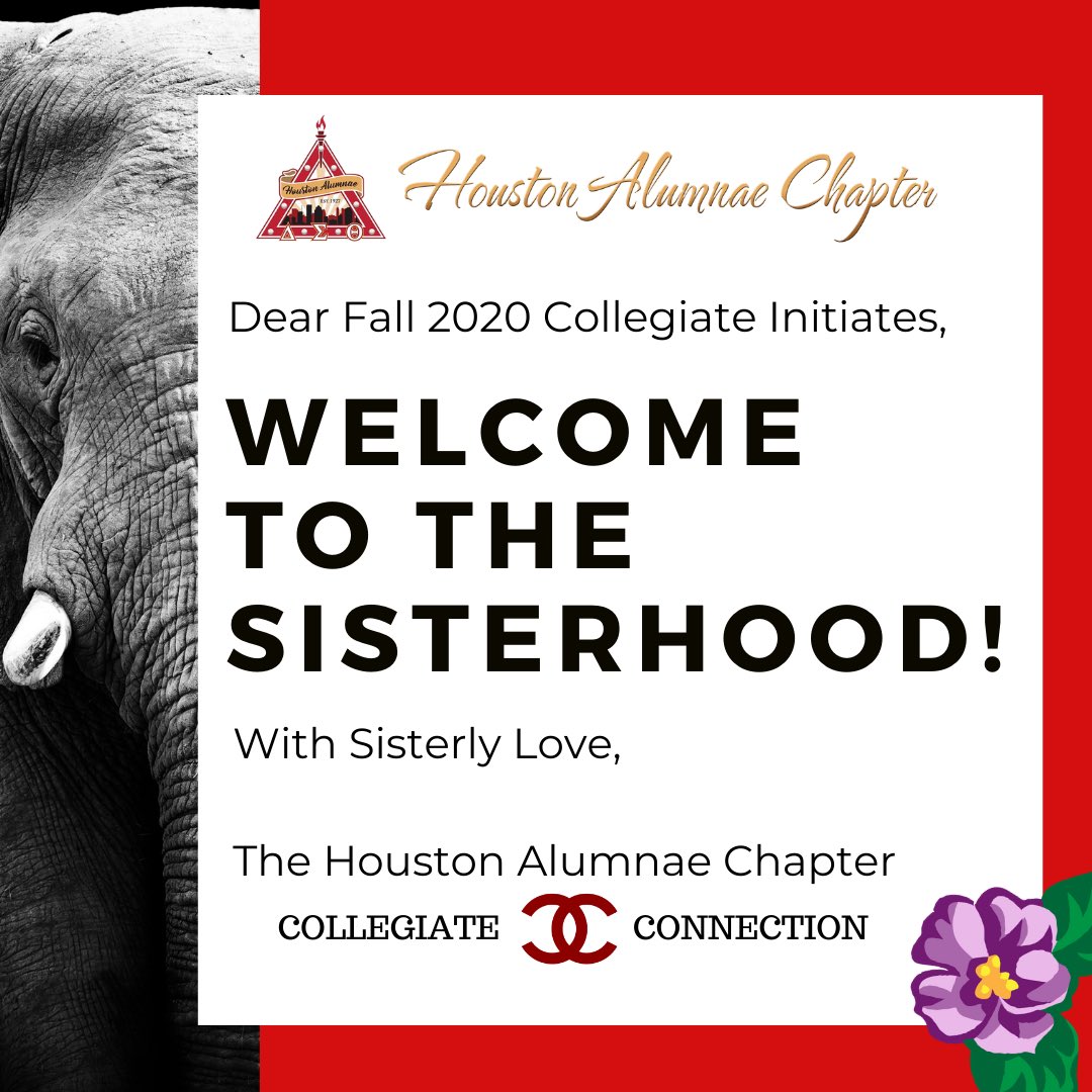 dst_HAC1913's tweet image. HAC Collegiate Connection Committee welcomes the Fall 2020 collegiate initiates into our illustrious Sisterhood. Congratulations on your accomplishment! We wish you the best this academic year &amp;amp; look forward to CONNECTING with you. #committedbeyondcollege #collegiateconnection