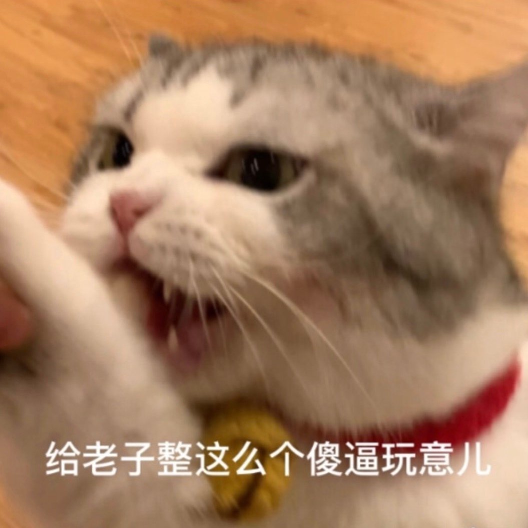 Cookie 公司给发邮件说说附近的上智大学收到了定时炸弹威胁 大家有去公司的打算的话请注意喔 顺便去看了上智 的官网这样写的 因为来装炸弹的说说定时定了下午三点 所以上午的课照常进行 下午开始封校喔 Doge