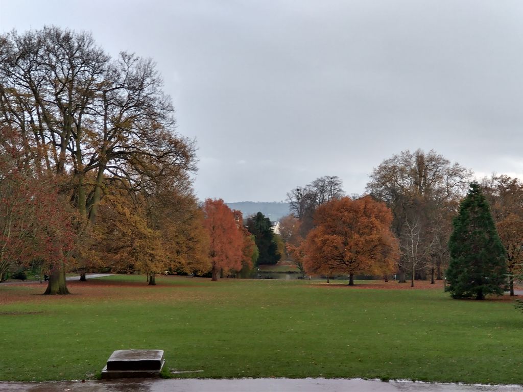 seorgan's tweet image. A little bit of rain won't stop a #lunchtime doggy walk around #PittvillePark! Our #LocalParks have been such a huge support to the local community particularly during #lockdown. #MentalWellbeing #PhysicalWellbeing. @PumpRoomChelt  @CheltenhamBC @GlosLiveOnline @LionHeartRICS