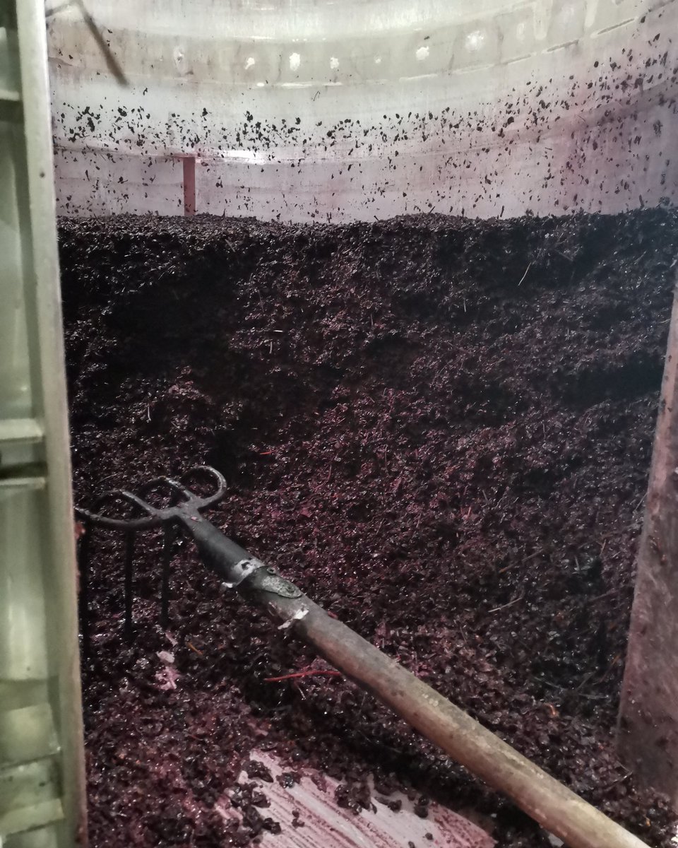 DacilEstapaCruz's tweet photo. #Momentos en bodega #Descubando en @tomascusine
#ViticulturaDeMuntanya #vinspersonals #LesGarrigues #territori #lleidamolamolt #vinsambcaracter #Vilosell #vicatala #vino #estamosconlahostelería https://t.co/5teFTttYV1