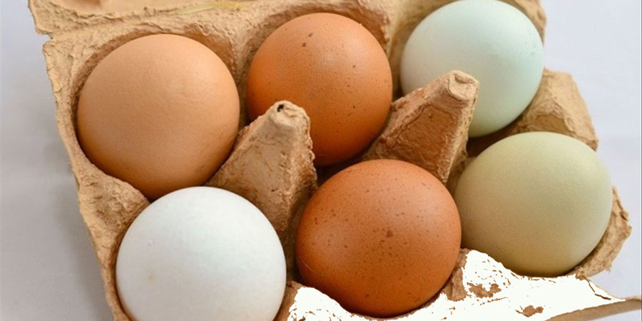 Crudo, escalfado, duro o en tortilla: ¿cómo conserva mejor el huevo sus virtudes nutricionales?
> bit.ly/3nfwF3R
Vía <a href="/ConsumoClaro/">ConsumoClaro</a>