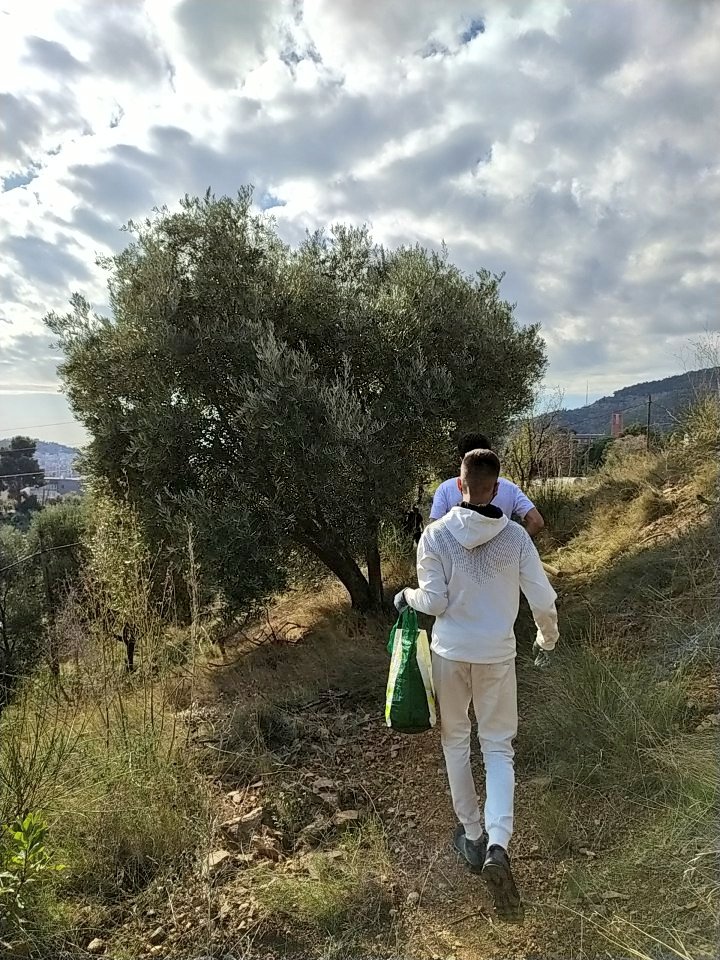 Estimem Font del Gos tweet media