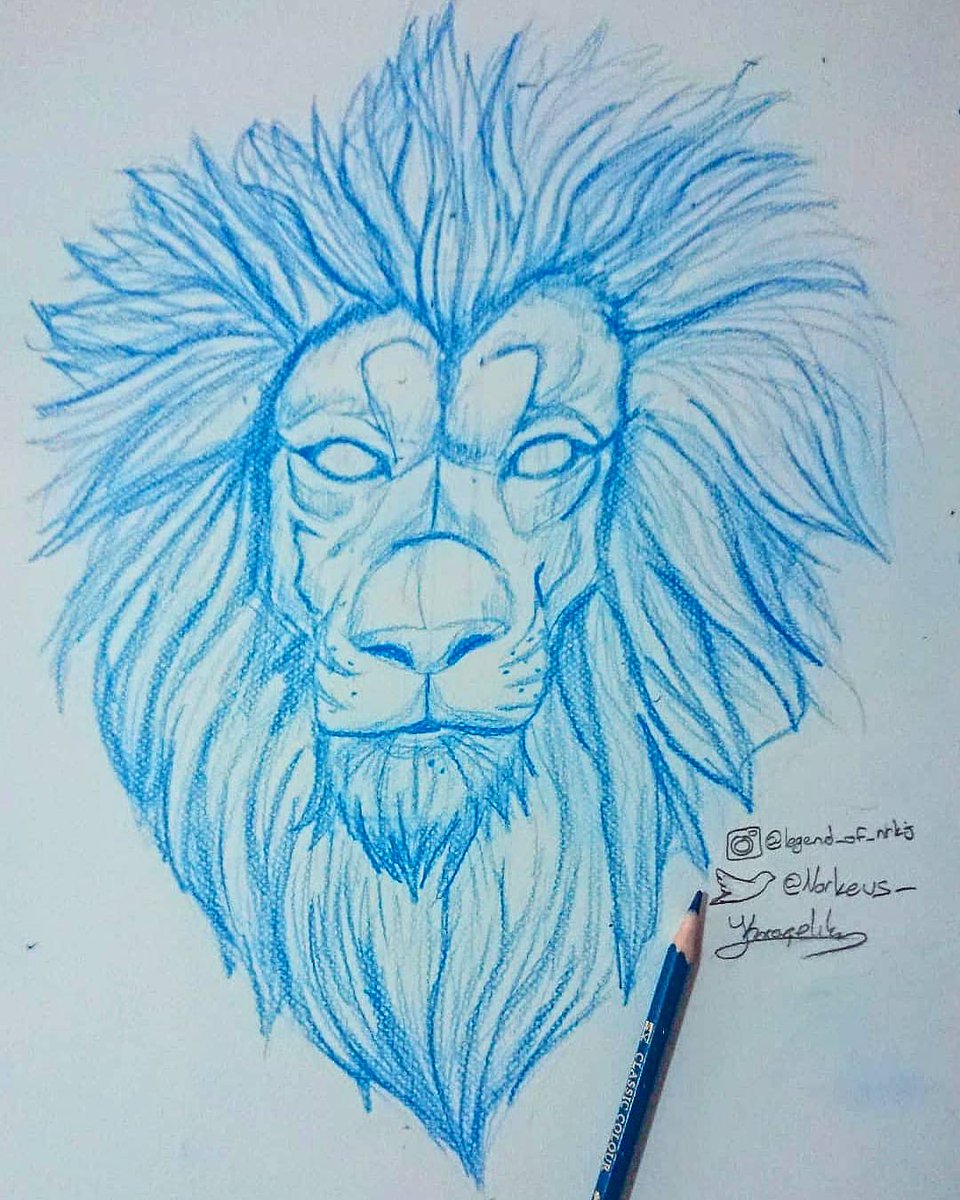 The Lion King 

#art
#drawing 
#sketch
#çizim #sanat #karalama