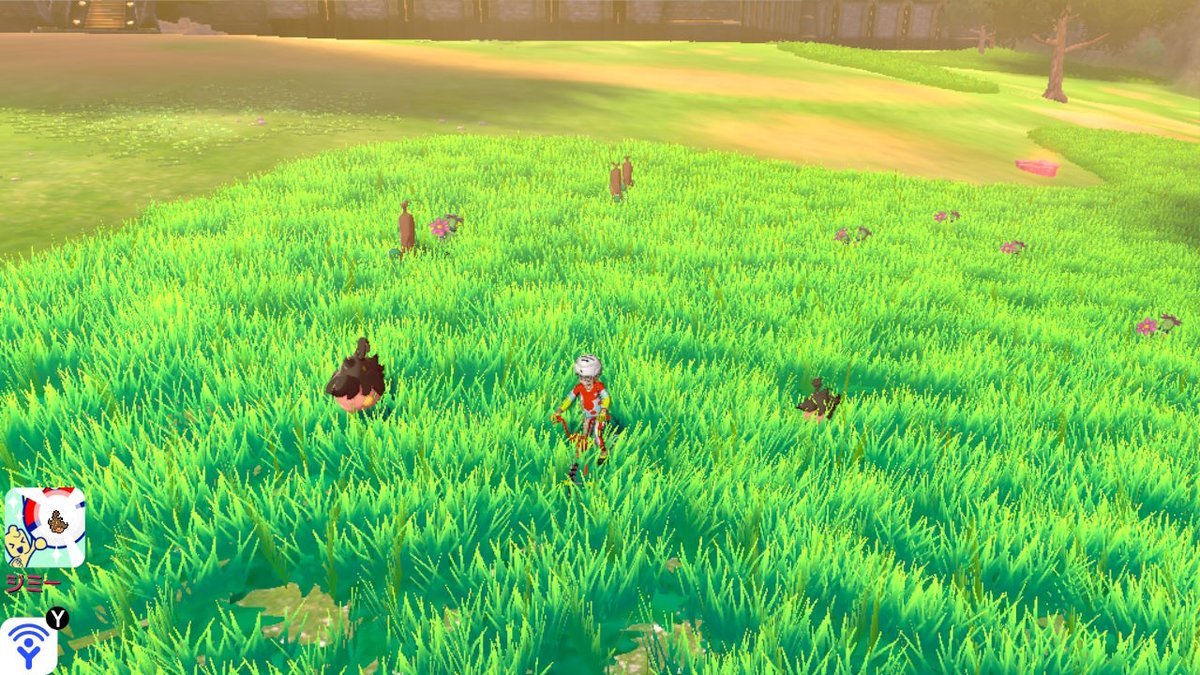 Yunomi フィールドの草むらでもバケッチャのサイズは違う ポケモン剣盾 Nintendoswitch Yunomi フィールドの草むらでもバケッチャのサイズは違う ポケモン剣盾 Nintendoswitch