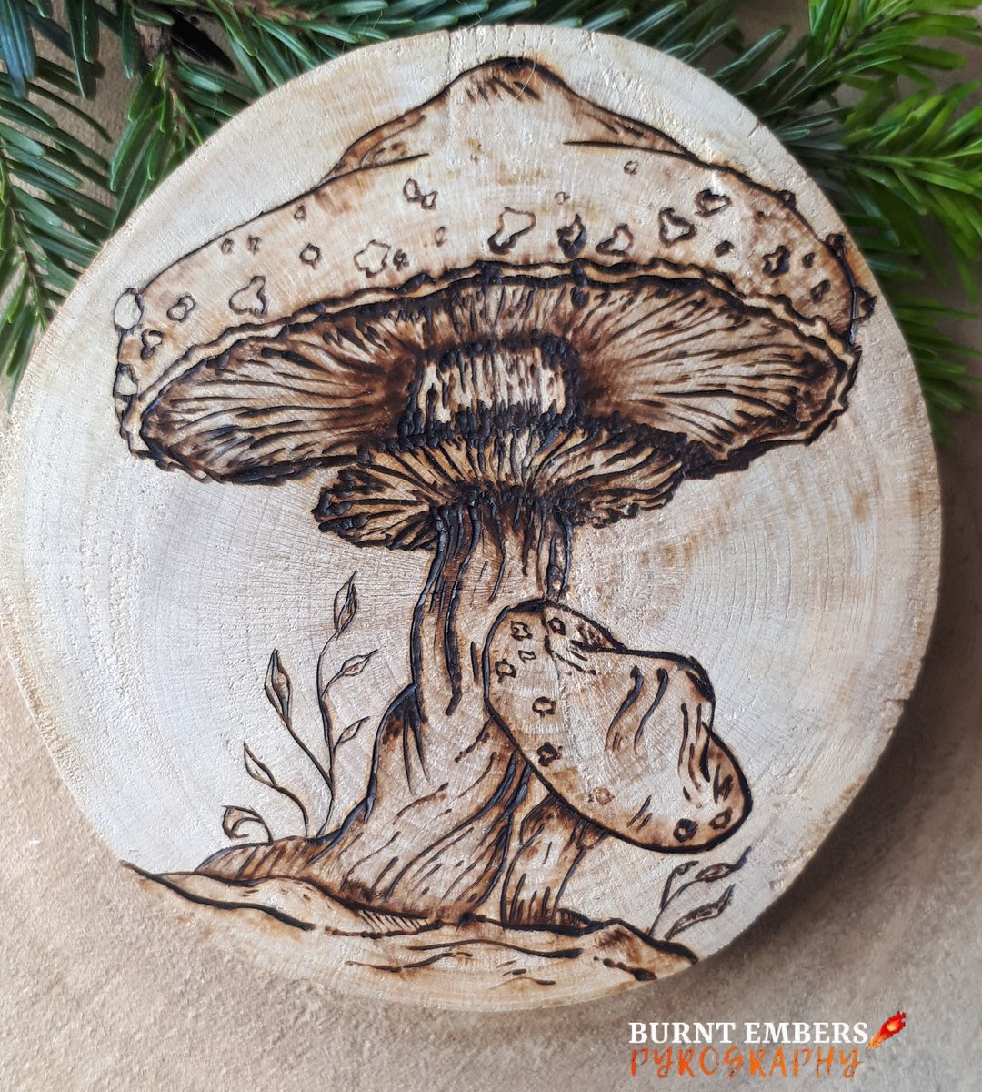 Part One of my Mushroom Hanging Complete
.
#pyrography #Pyrograph #pyro #pyrographyart #pyromania #woodburning #woodart #woodburn #mushroom #mushrooms🍄 #mushroomsofinstagram #mushroomlover #mycology #gifts