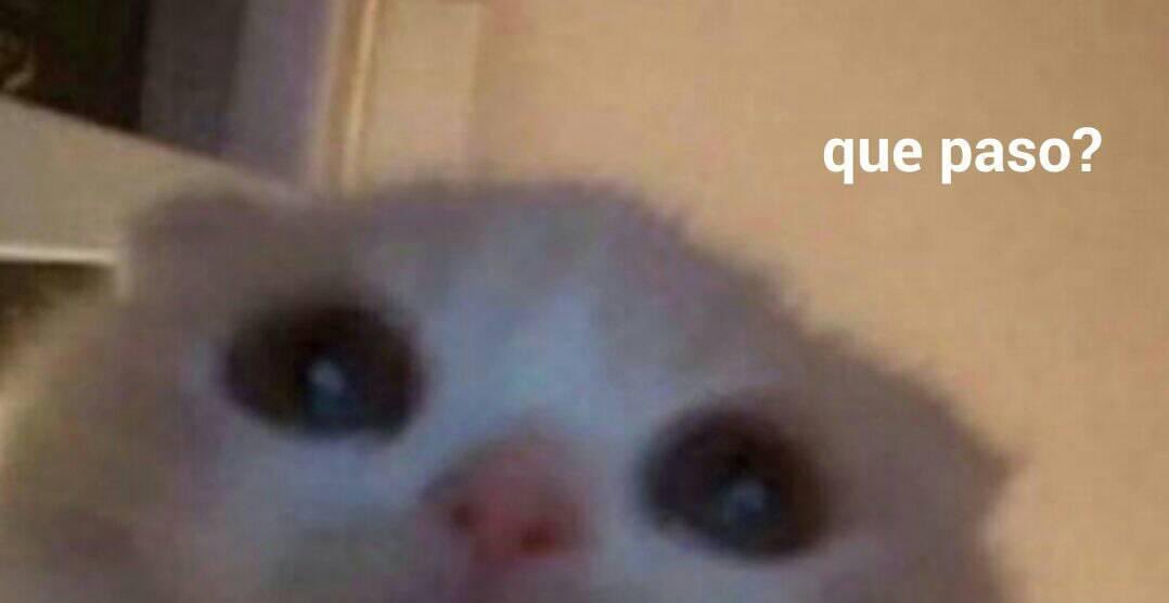 *Alguien me llama*
Yo: *Espero a que finalice la llamada*
Yo por mensaje: