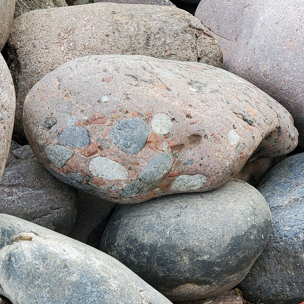 KevinCaronArt's tweet photo. Good morning, Friend! What stories would this rock have to tell? I'd like to hear them, and make up my own, too ....
- Kevin
https://t.co/WgelfAibc7
.
.
#puddingstone #prettyrocks #KevinCaronArt https://t.co/zjEoHeMh1Z