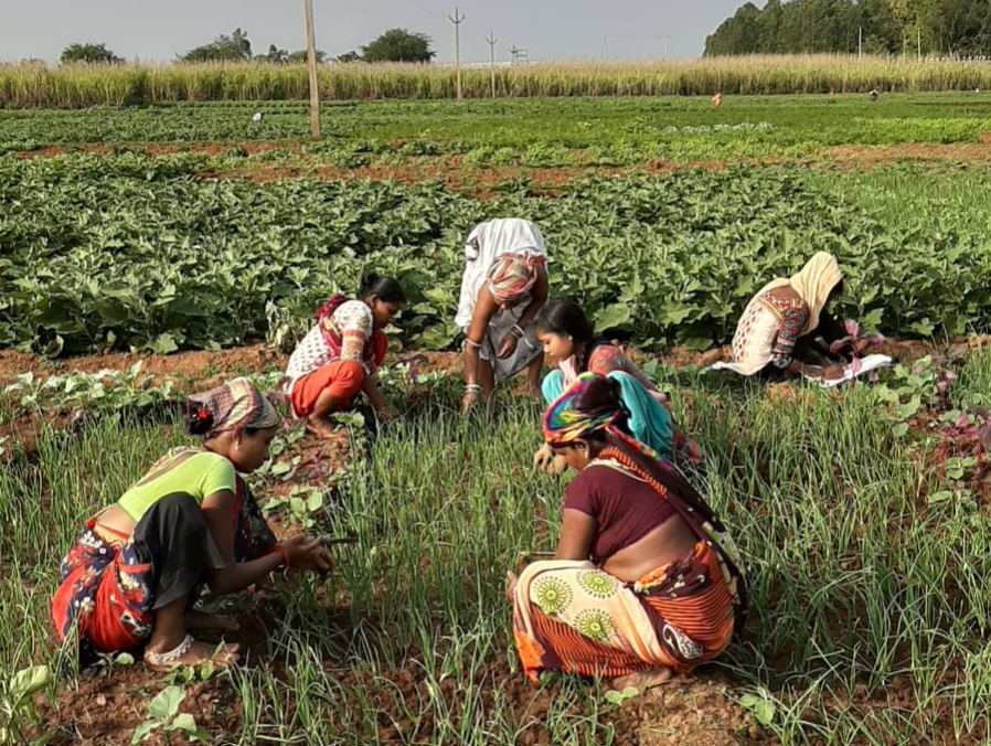 UEA's Global Research Translation Award tweet media