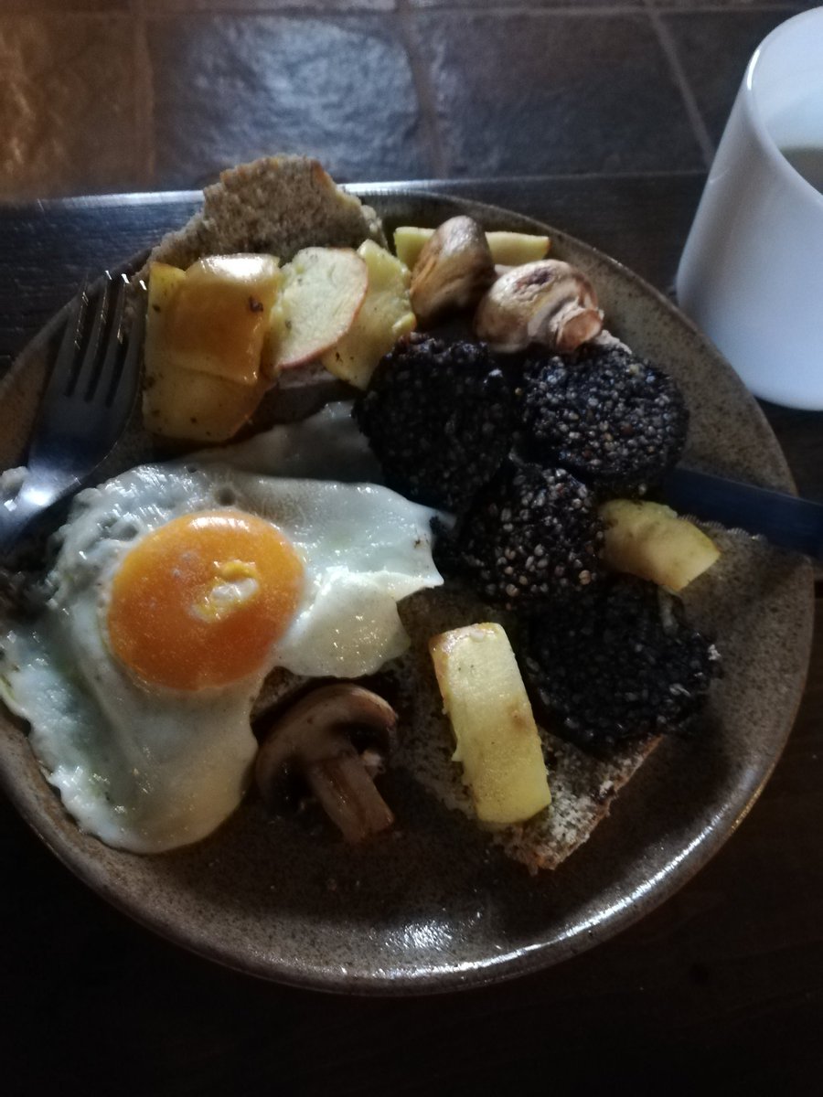 fhayesmccoy's tweet photo. Brunch. 😊
Don't judge me, it's #TheTransatlanticBookClub's US/Canadian #publicationday!
😉🥂
#ClonakiltyBlackPudding #LispoleEggs #windfallapples #homemadesodabread #ballyferritermushrooms #shoplocal #growyourown #lockdownbooklaunch #lockdownireland @HarperPerennial https://t.co/7oPbiJaY00