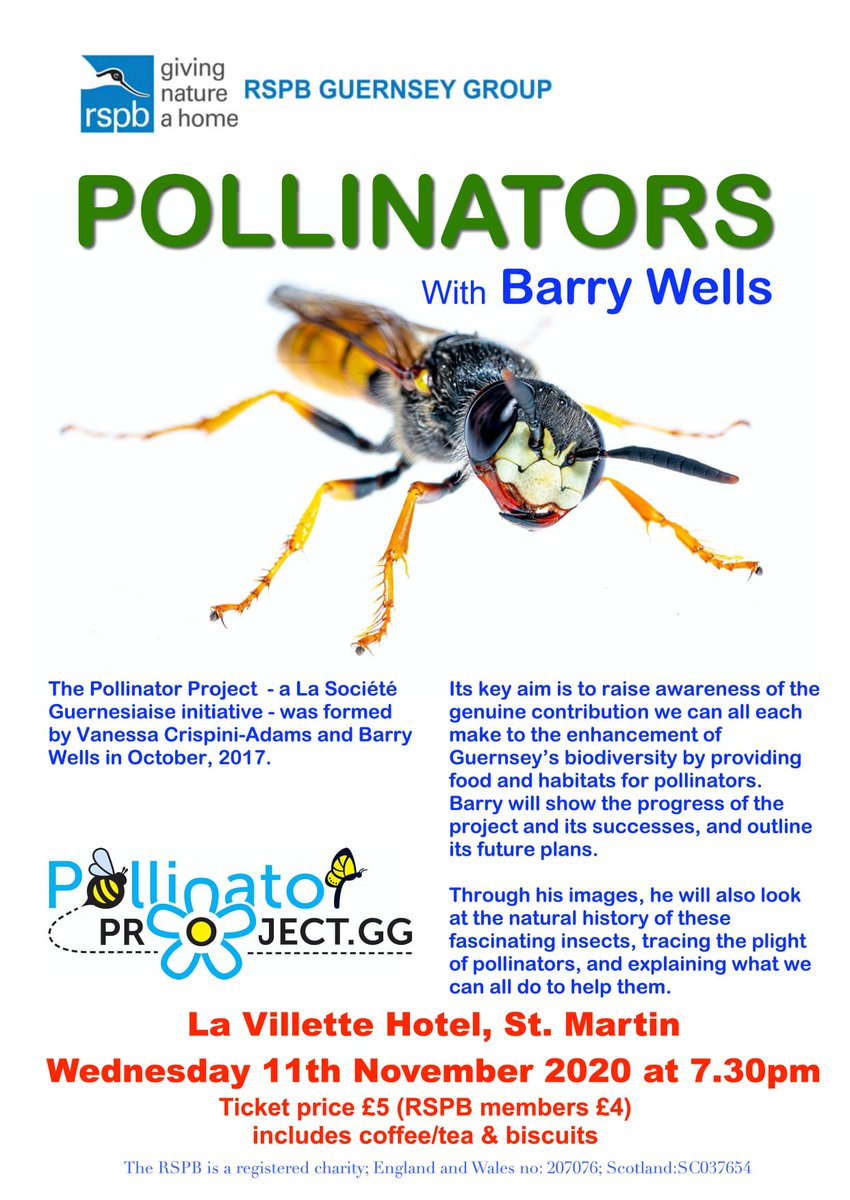 Super event here in #Guernsey tomorrow night. Watch out for the slo-mo's of solitary bees