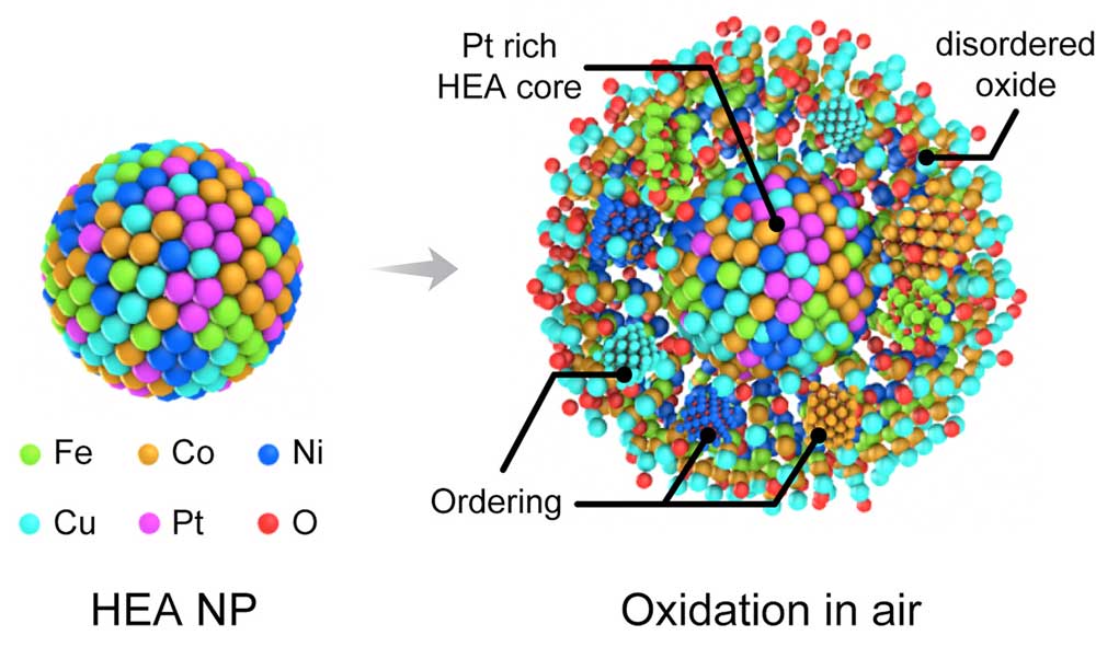 CodexInternati1's tweet photo. [Materials] - High-entropy alloy nanoparticles show High resistance to oxidation.
High-entropy alloys formed by combining nearly equal parts of several primary metals, are an emerging class of advanced materials that...
https://t.co/dEBLHyC7Vt
#CodexInternational #Materials https://t.co/GrUG6DZlvJ