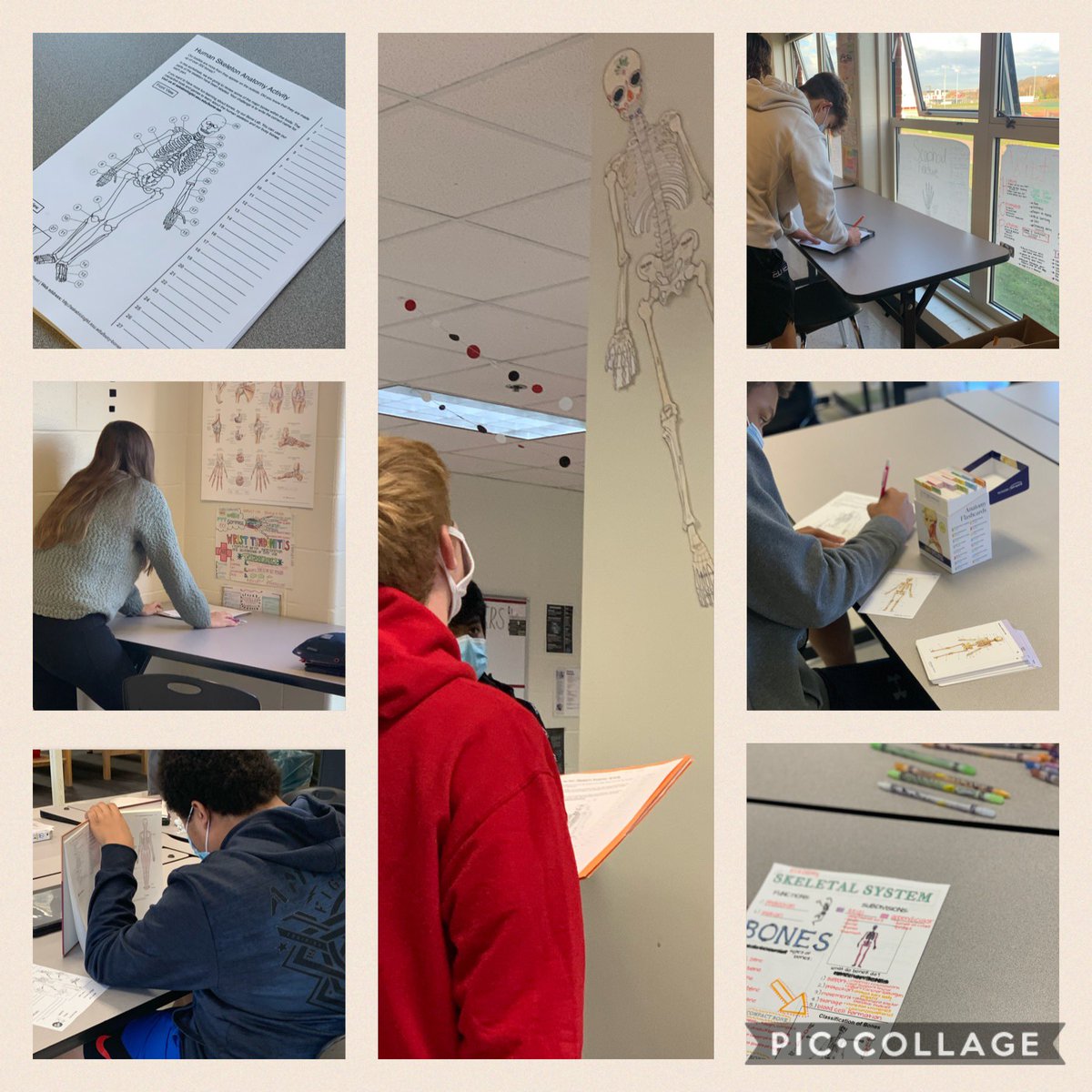 BTsportsmedLWHS's tweet photo. AIP unplugging for a bit and throwing their research skills back to resources in the room to complete this 💀 activity #techfreetuesday @FirebirdTweets @BTiYS @ButlerTech https://t.co/3vh7Z9mNPX