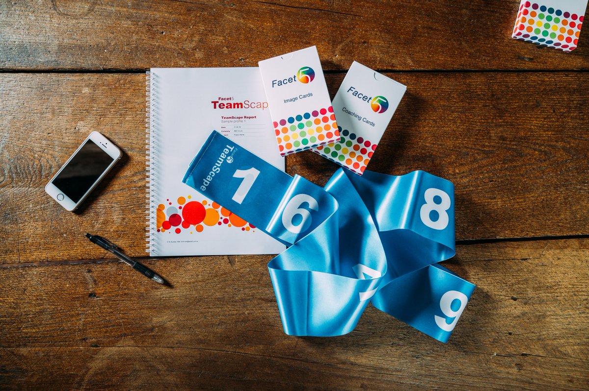 The Facet5 Profile. Amazing insight for individuals.

But, how does this translate in a team environment? How do you pick through an array personality types? To ensure the team pulls together as a cohesive unit.
           
Facet5 TeamScape. Discover more bit.ly/3nd9G9A