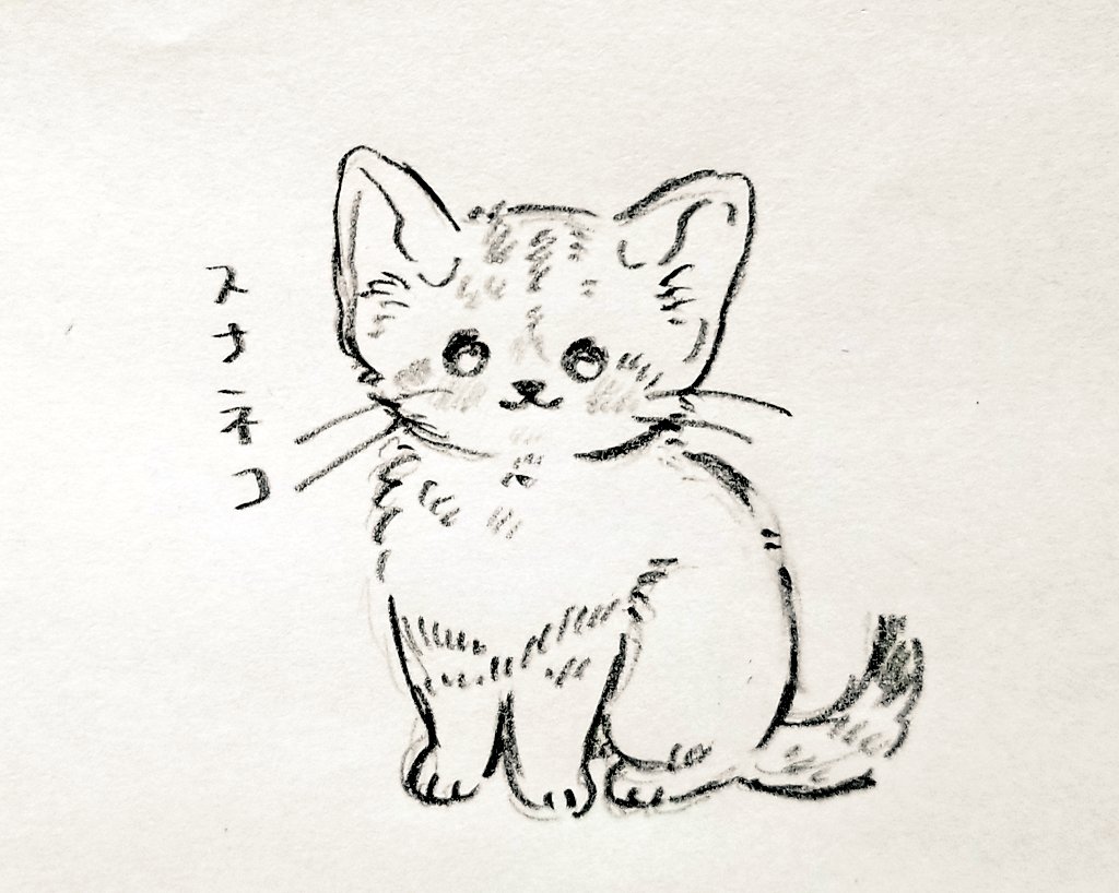 お仕事でスナネコをはじめて描いたので商品化が楽しみ…! 