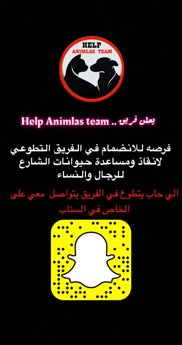 Team Help Animals tweet media