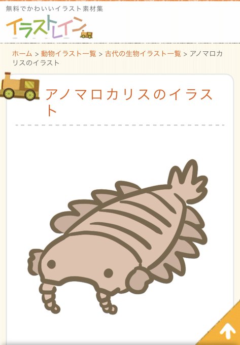 アノマロカリスのtwitterイラスト検索結果 アノマロカリスのtwitterイラスト検索結果