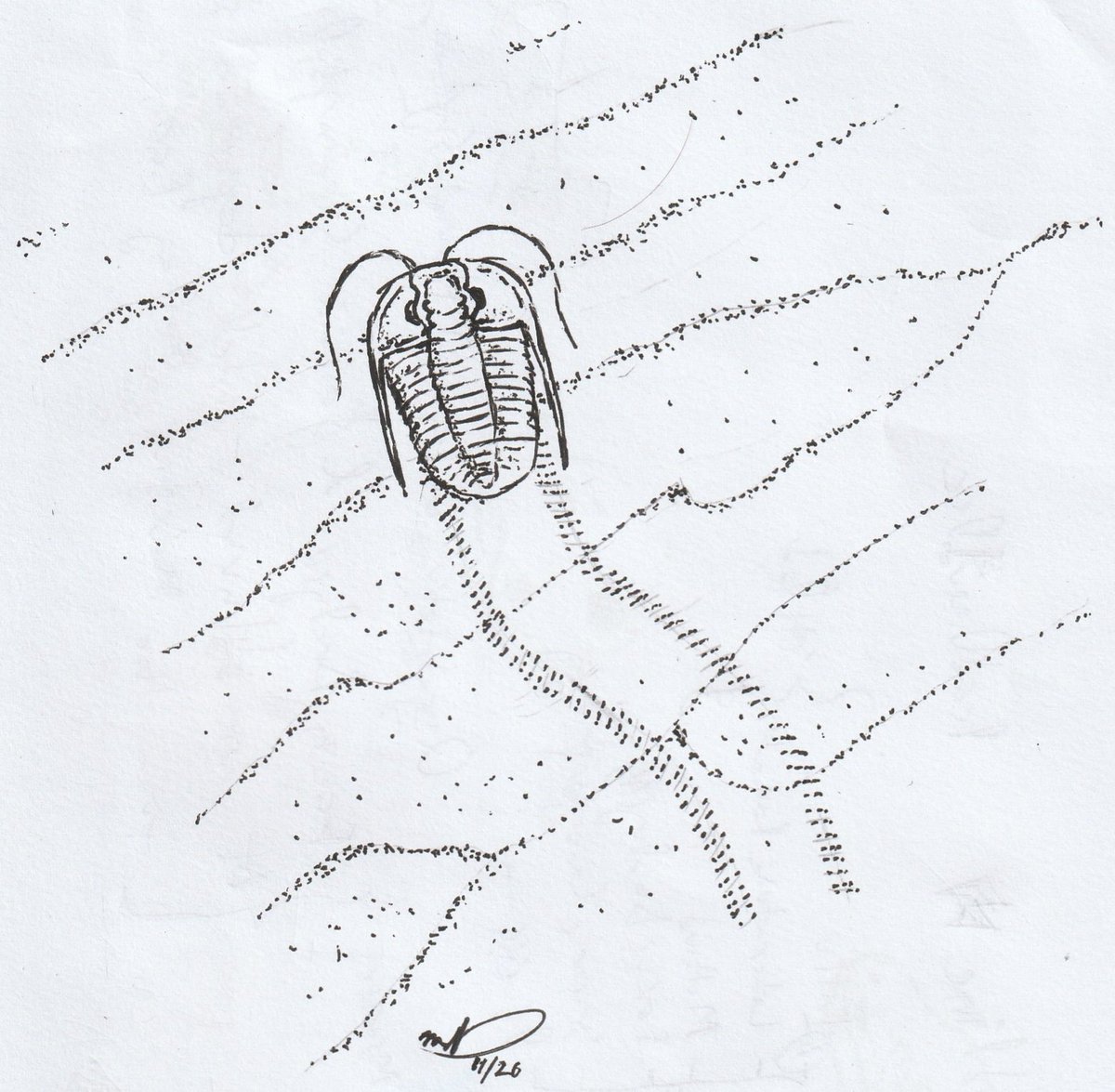 Meorhakif's tweet photo. Cambrian scene, Langkawi, around 500 million years ago. The trilobite Prosaukia crawling on a rippled shoal. Fossils reported from Langkawi and Tarutao Island. Tracks on ripple marks have been described from Gunung Jerai in Kedah, Malaysia. #TrilobiteTuesday https://t.co/H1m2piCd5P