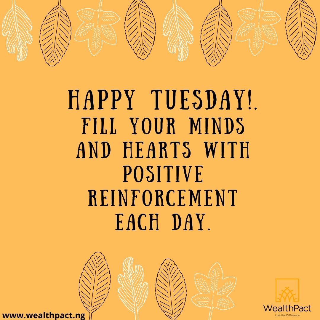 wealthpact's tweet photo. #wealthpact
#wealthgardens
#investment
#realestate
#workhard
#innovation
#buildings
#properties
#highestreturn
#valuecreation
#dreamhome
#happytuesday
#staysafe https://t.co/ram8BPewWy