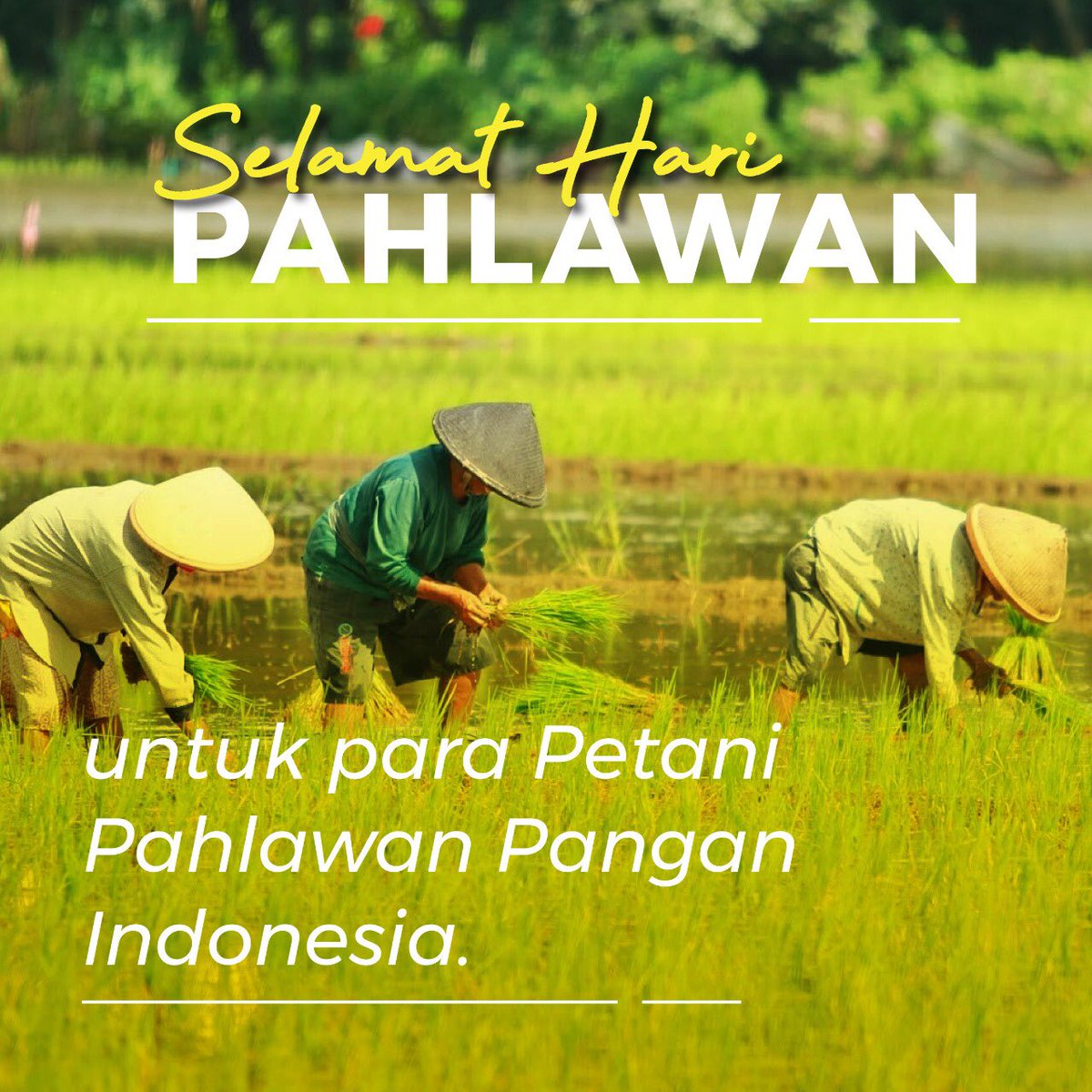 kementan's tweet photo. #Sobatani Bangsa yang besar adalah bangsa yang menghargai jasa para pahlawanya. Dimasa pandemic Covid-19 petani merupakan pahlawan bagi bangsa Indonesia . #PetaniPahlawanKita https://t.co/tkWa90PdMp