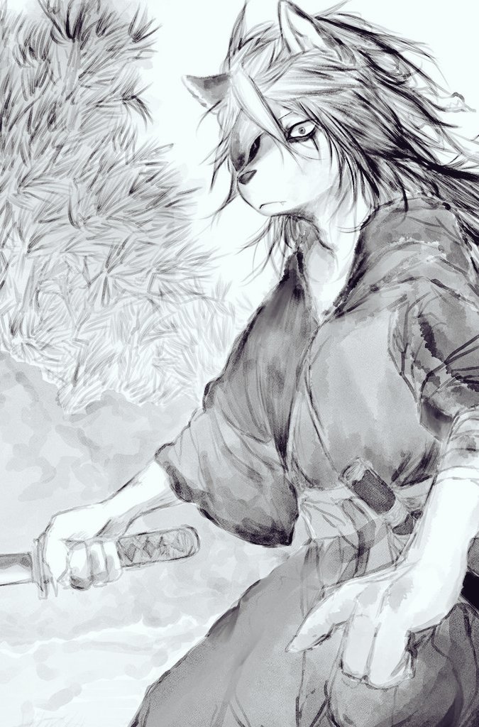 犬縞 tweet media