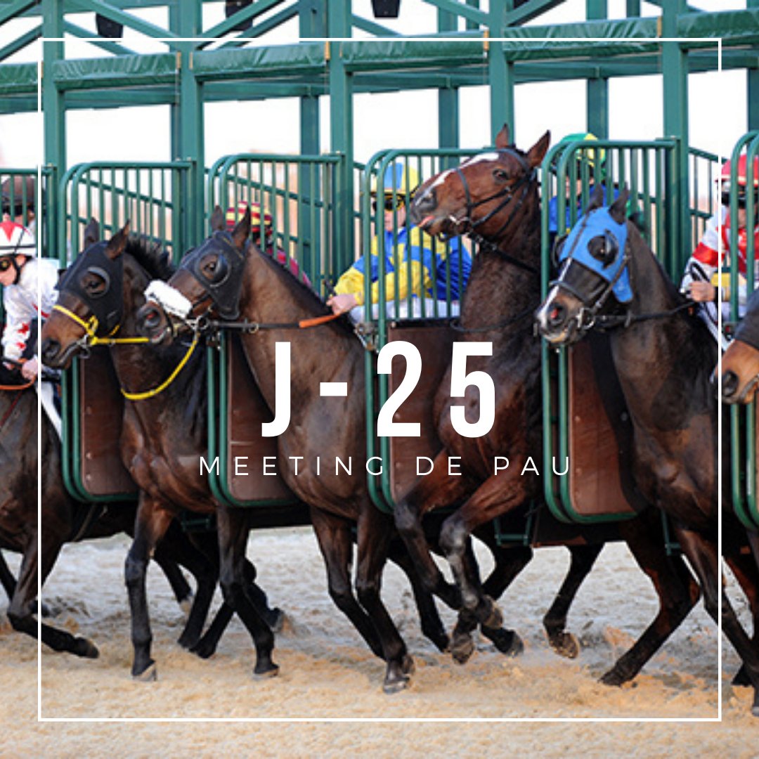 ⏱️J-25 avant le Meeting de Pau
📆Rdv du 5 déc 2020 au 9 fév 2021
➡️Toute l’équipe est au travail pour réaliser une belle édition 
📝En attendant un nv décret du gouvernement il faudra nous suivre sur <a href="/equidia/">Equidia</a> et sur nos réseaux sociaux

#courseshippiques
#hippodrome
#pau