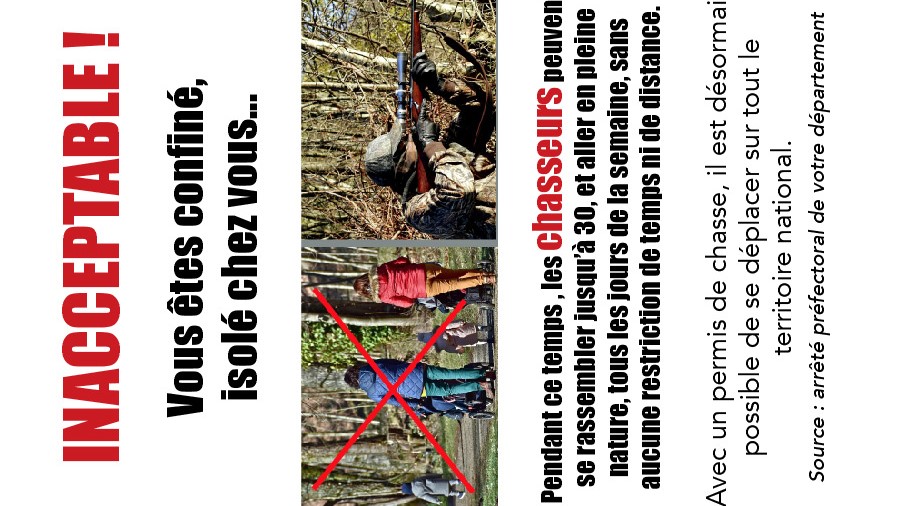 Danielle_Millet's tweet photo. Les Français sont en colère depuis que les chasseurs ont obtenu le droit de continuer à tuer des animaux en plein confinement… #confinement #chasse https://t.co/COnU6oFbjv