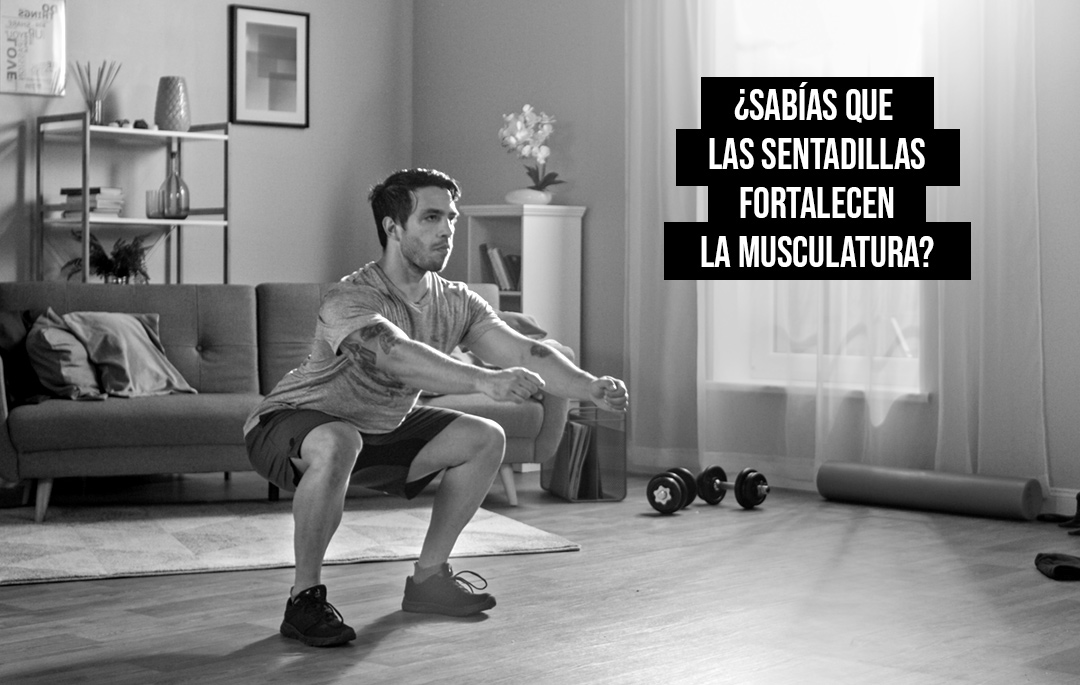 🏋🏽‍♂️SABÍAS QUE LAS #SENTADILLAS FORTALECEN LA #MUSCULATURA?
Son un ejercicio muy completo, fortalecen la musculatura, #tonifica el #abdomen y ayuda a mejorar la postura 🧘🏻‍♀️
Además, es un #ejercicio que podemos practicar en casa

#JustPodium #suplementosdeportivos #FelizMartesATodos