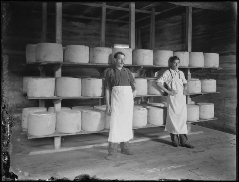 OpenGLAM's tweet photo. Congratulations to @ArchivesOntario on releasing their collections on @glamwiki https://t.co/x90aY6Tzep a new addition to @CultureDoug &amp; @AndeeWallace survey and a VERY WARM welcome to the #OpenGLAM world! 🥳🥳🥳🥳 Here's for many more! https://t.co/KwqabKzb6T