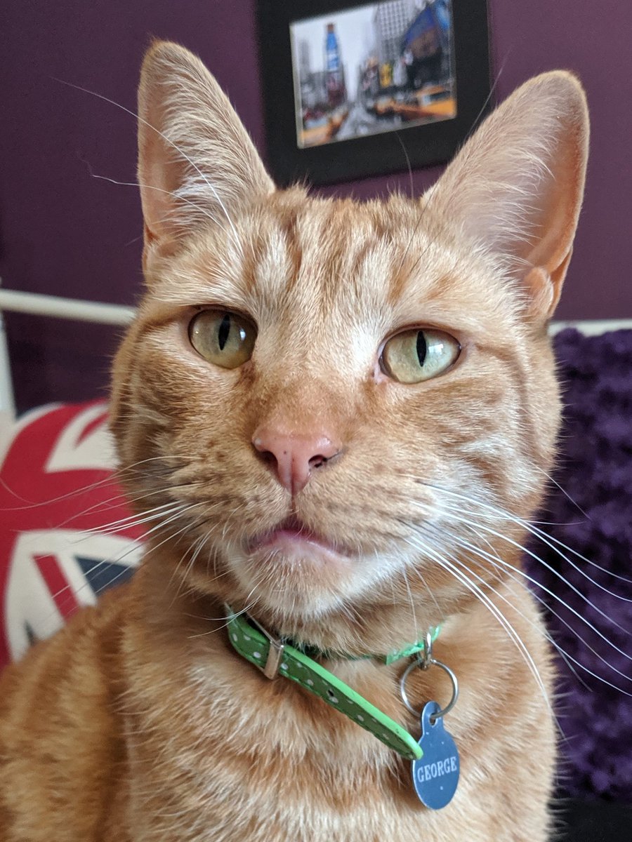 Emily Coates tweet media