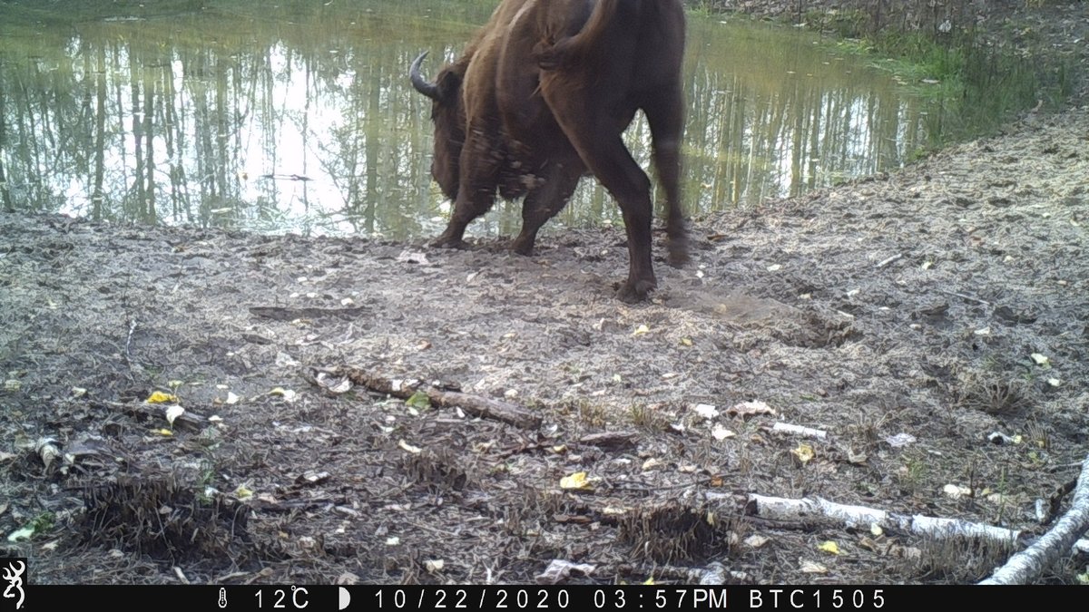 Prof Nick Beresford tweet media