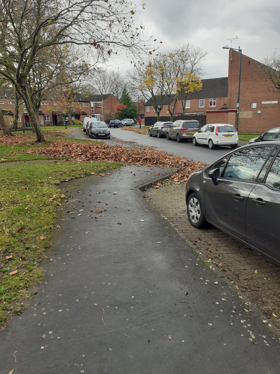 MeadowsPublicRealm tweet media