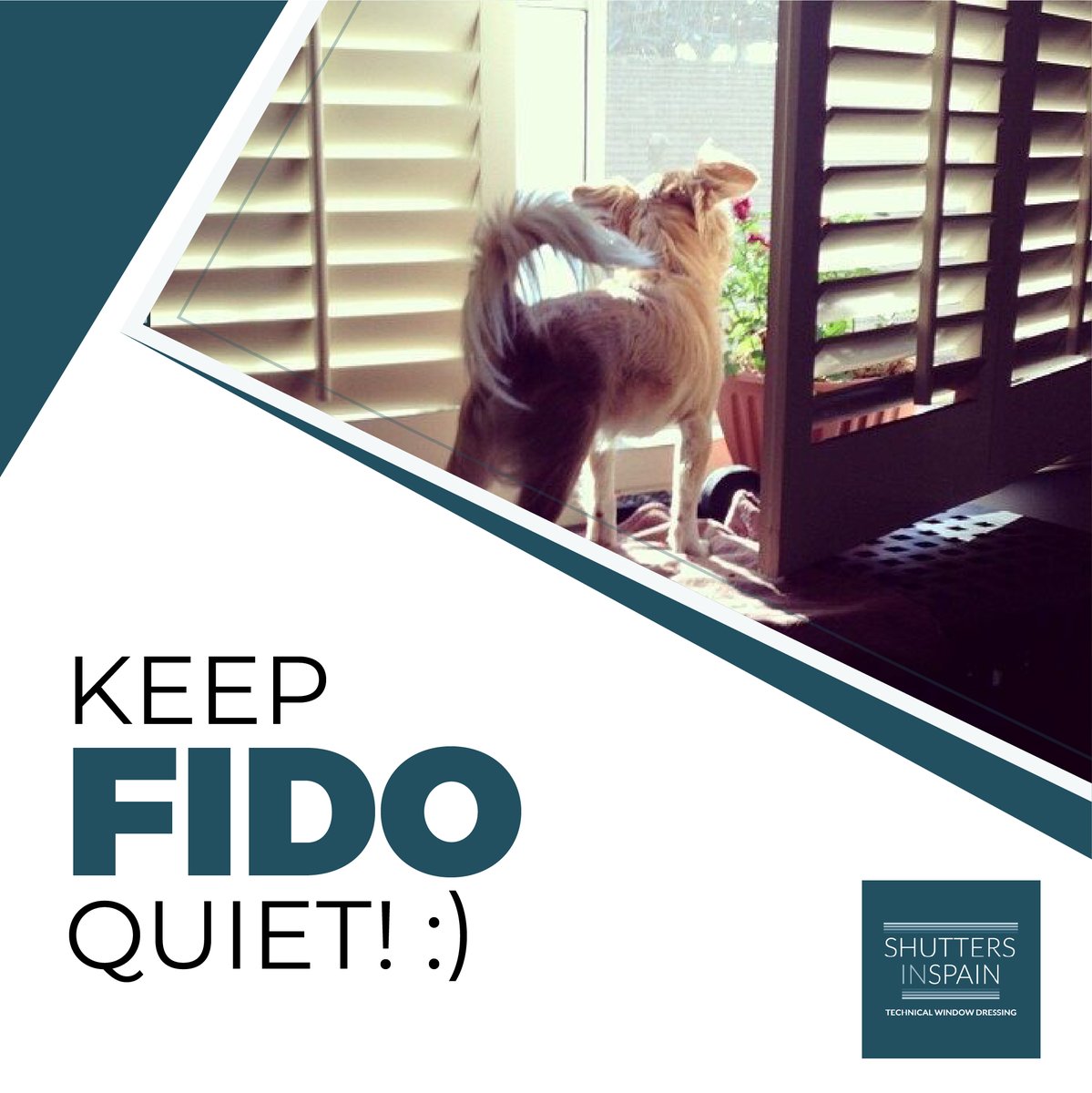 Shutters are great to stop your dog from barking at passers by in the street! When you leave your home, simply close the shutters and your dog won’t be any the wiser until you’re back! 

Contact us for a FREE quote: 
🌍  shuttersinspain.com