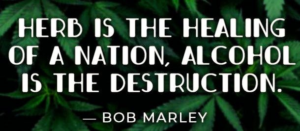 cbdswords tweet media