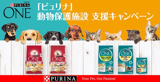 ピュリナ ワン Cat Amazonで開催中 ピュリナ 動物保護施設支援キャンペーン ピュリナ 対象商品の販売金額の一部を動物保護施設に寄付します 新しい飼い主を待ちながら生活する保護犬 保護猫を支援します どうぞご協力ください 詳細は ピュリナ ワン Cat Amazonで開催中 ピュリナ 動物保護施設支援キャンペーン ピュリナ 対象商品の販売金額の一部を動物保護施設に寄付します 新しい飼い主を待ちながら生活する保護犬 保護猫を支援します どうぞご協力ください 詳細は