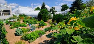 EWestaway's tweet photo. Please join @EWestaway @Jeremy1les #KimStoddart #GaryMitchell @NickWeir63 
'Upscaling regenerative urban food production: #COVID and the climate emergency'
18th November 2020
10.15-11.30
https://t.co/1PToHixh01
@BadlyBehavedOne @OpenFoodNetUK @SFarms_Gardens @wrffc20 #wrffc20 https://t.co/t2F3JzL0tC