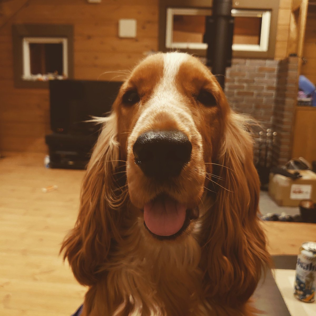 みやび April Messan Twitter