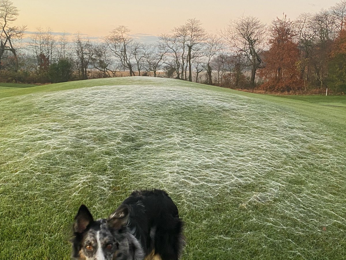 Nutrien Solutions East tweet media