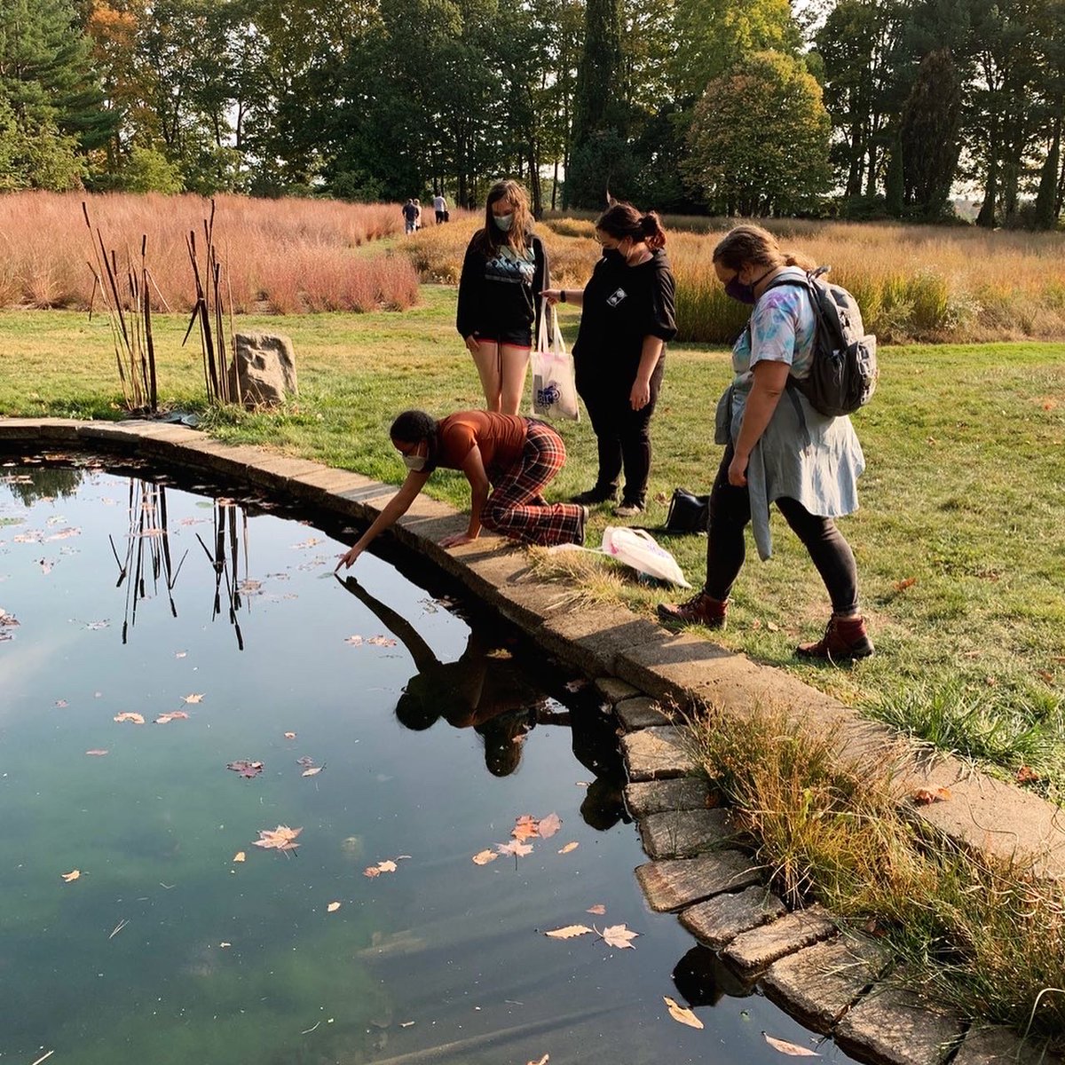 Curious about what’s happening in these pictures? Visit our AIR Horn blog to read about these autumnal adventures that happened at Writers Workshop and @bedrock_gardens!