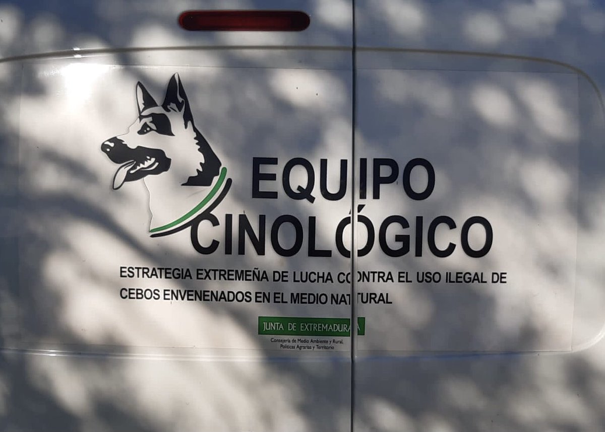 TonioGC_'s tweet photo. Los agentes del Medio Natural entre otras funciones,realizamos control y vigilancia  para acabar con el uso de cebos envenenados. Hoy hemos tenido la ayuda del equipo cinológico, una herramienta importantísima para acabar con esta lacra. #stopvenenos #AEAFMA #AMN https://t.co/Kpdr010bSZ