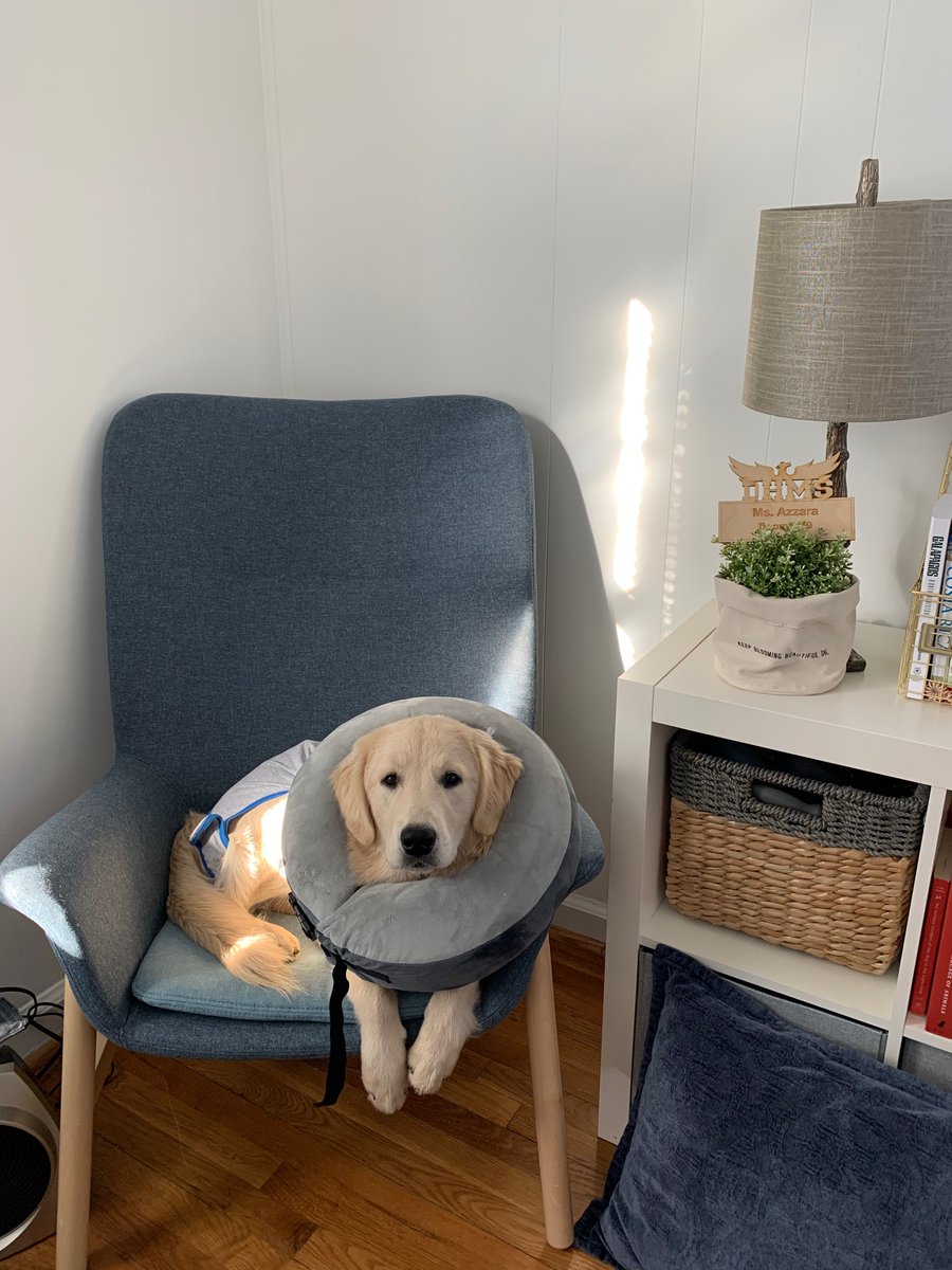 SO excited to host this amazing special guest in my classes today! Definitely winner of Best Dressed