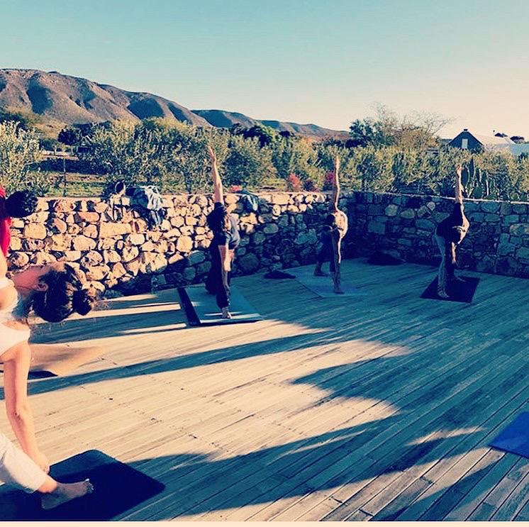 Prince Albert Tourism tweet media