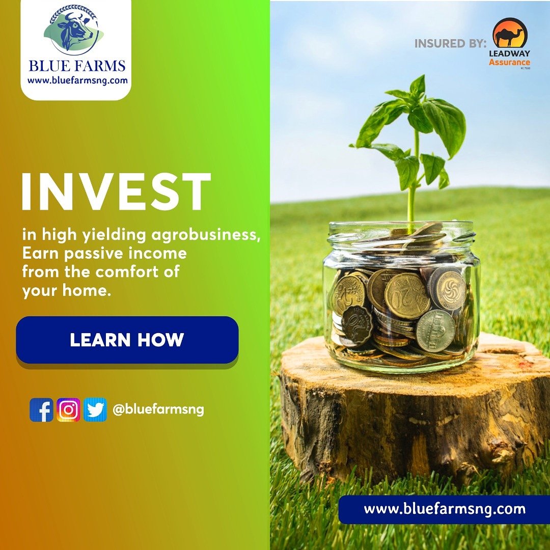 bluefarmsng's tweet photo. Dont be left out. Join the moving train now! Invest in Blue Farms. Visit https://t.co/OCIPZ0suEJ to learn how you  can be a part of this great investment opportunity.

#Bluefarms #Blufarmsng #investment #passiveincome #agriculture #agriinvestments #agribusiness https://t.co/ihIND1nHwz