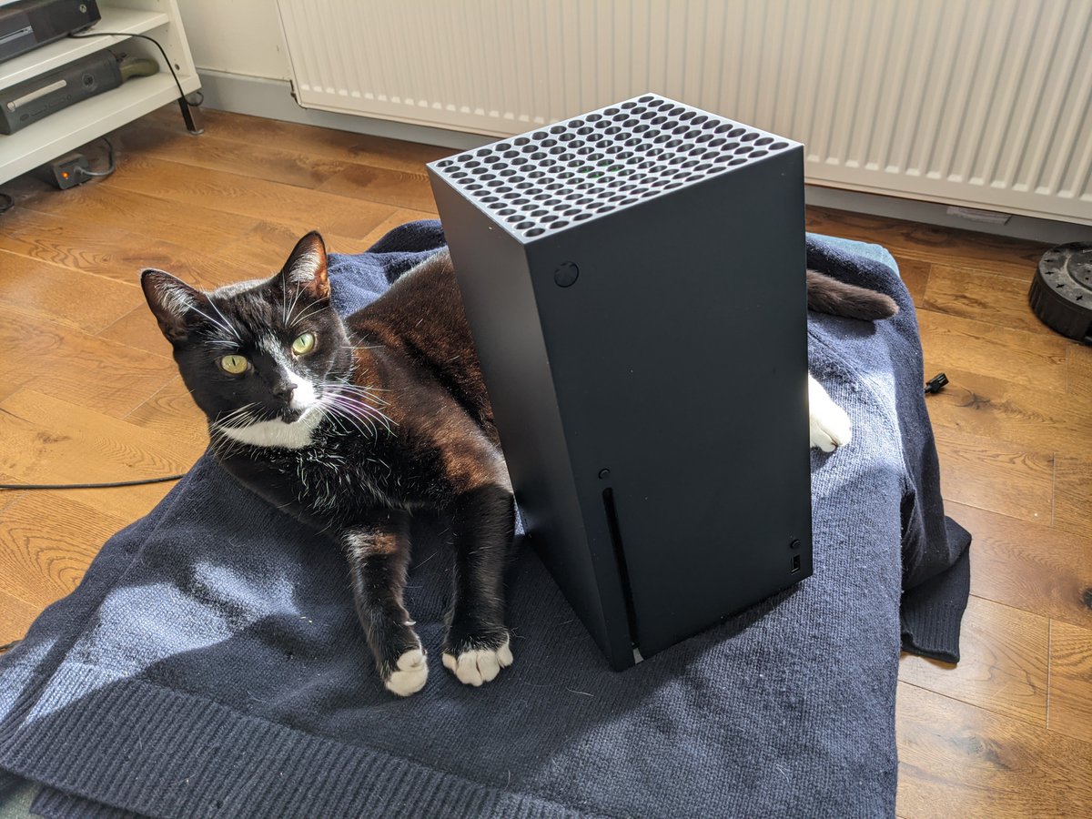 I hadn't really thought about  #notMyCat being in these.Here you go. Proper model posed shot. 