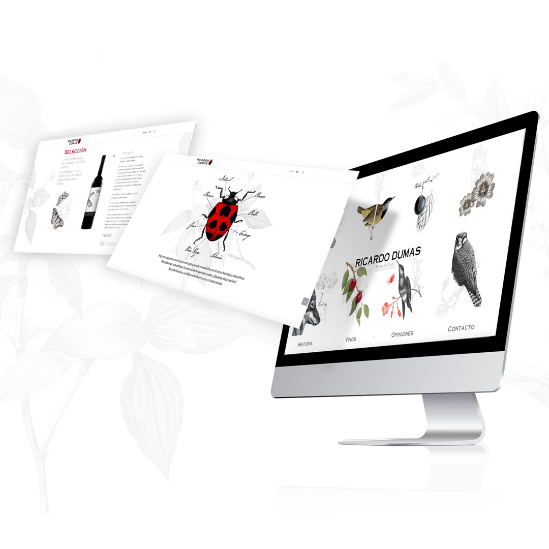 Intdea's tweet image. ¡Hoy os presentamos un nuevo trabajo!

La nueva página web de la gama de vinos 🍷Ricardo Dumas con DO Ribera del Duero de la Bodega Virgen de la Asunción.
 
Un diseño minimalista 🐞 y con matices únicos, que refleja con exactitud la esencia de cada uno de sus productos.

#leonesp