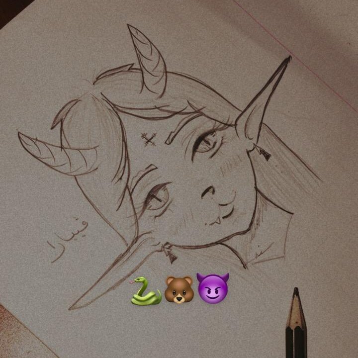 .🎨 tweet media