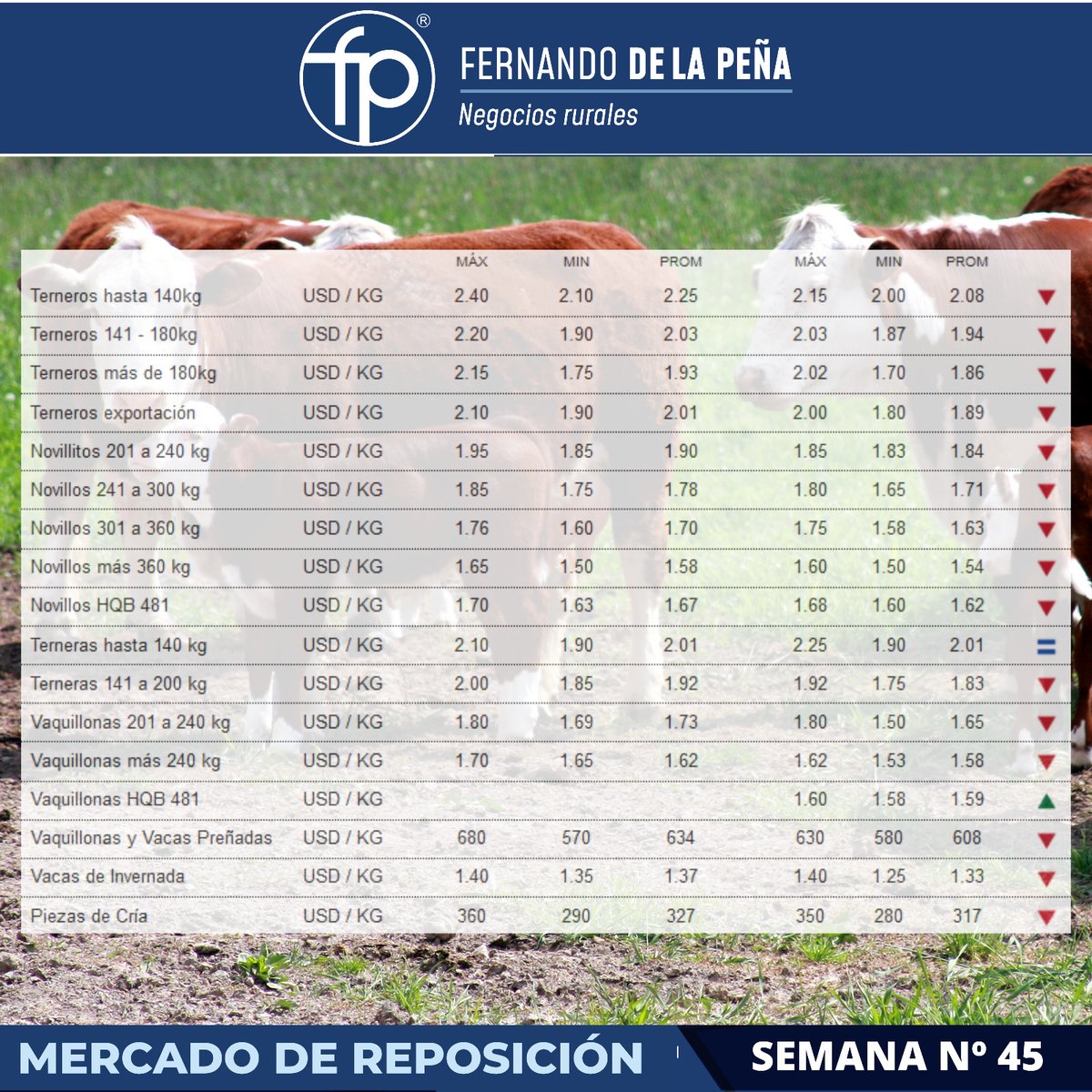 FPNegRurales's tweet photo. Buenos días a todos, continuamos informando los valores del #MercadoDeHacienda y #MercadoDeReposición en 🇺🇾 https://t.co/tcxjD0CVtV