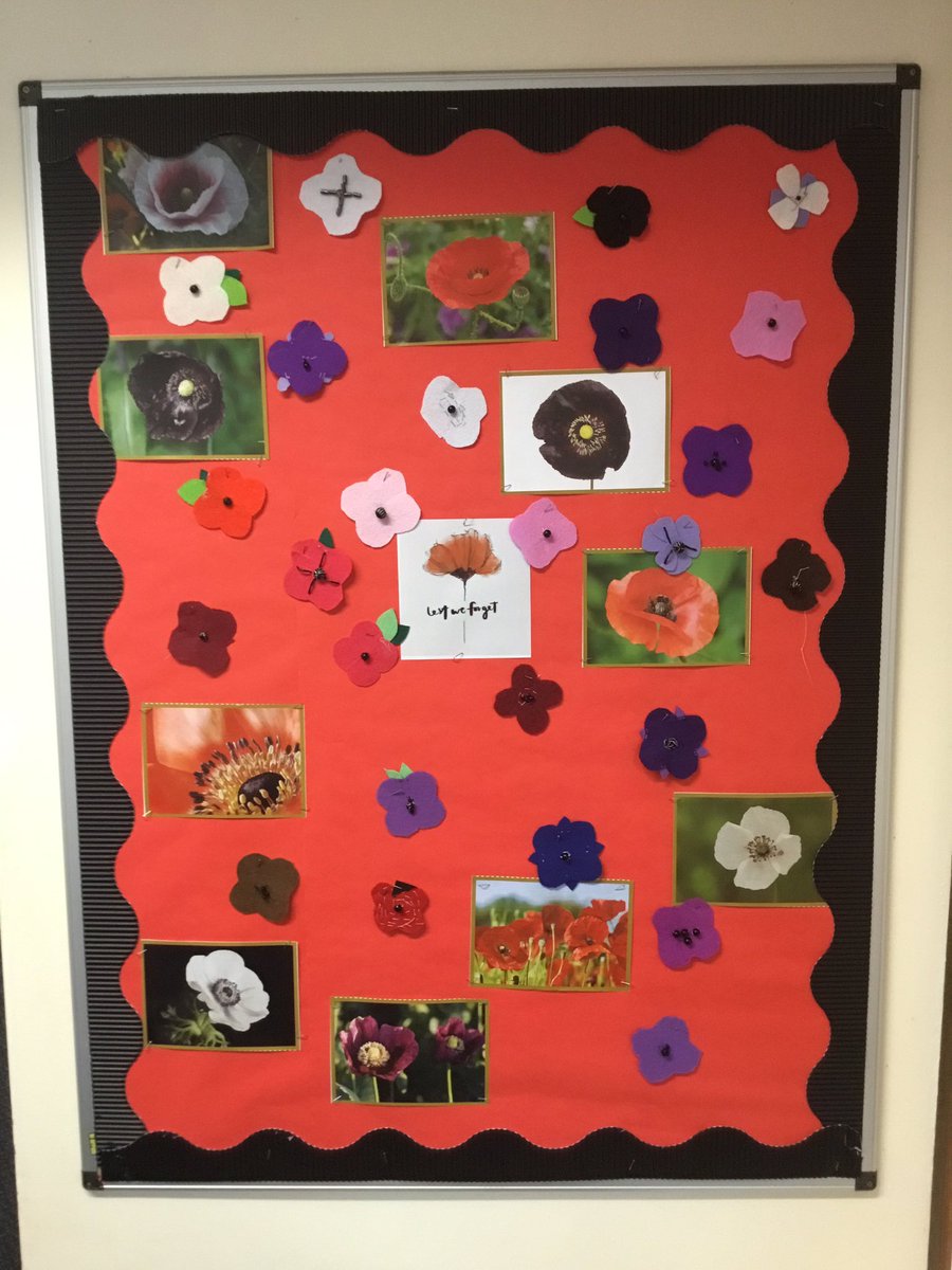 StHelensVA's tweet image. @Cornerstonesedu #RemembranceSunday #LestWeForget As part of their project, “Fallen Fields”, Class 5 made a range of red, black, white and purple felt poppies, in remembrance of the soldiers and animals injured and killed in the service of their country.