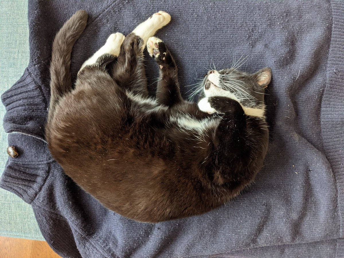 And now he's realised it isn't snacks, he's lost interest.