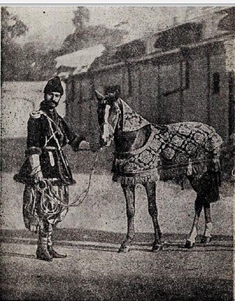 Senemmm01's tweet photo. Horses of Karabakh! They will run on the grounds of #gloriousKarabakh soon! Karabakh is back!

#karabakhisazerbaijan
#justicerestored
#wearecomingbackhome https://t.co/bPvOIsRoyL